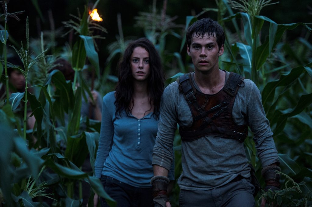 The Maze Runner - Movies about pandemics and viruses